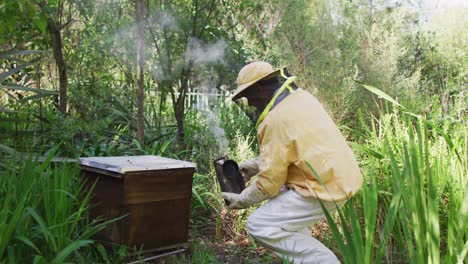 apicultor caucásico en ropa de protección que usa un fumador para calmar a las abejas en una colmena