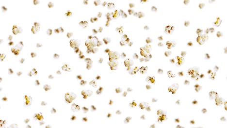 flying many popcorns on white background. white salty popcorn. healthy food. corn seed. 3d loop animation of popcorn rotating.