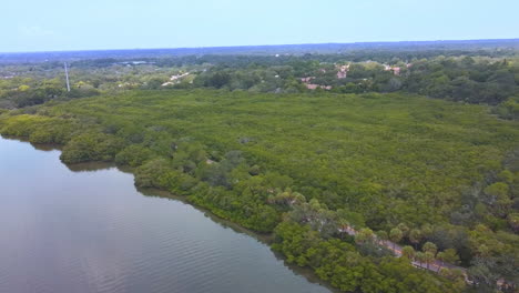 Hermoso-Día-Soleado-En-Philippe-Parkway,-Ubicado-En-El-área-De-La-Bahía-Norte-De-Tampa