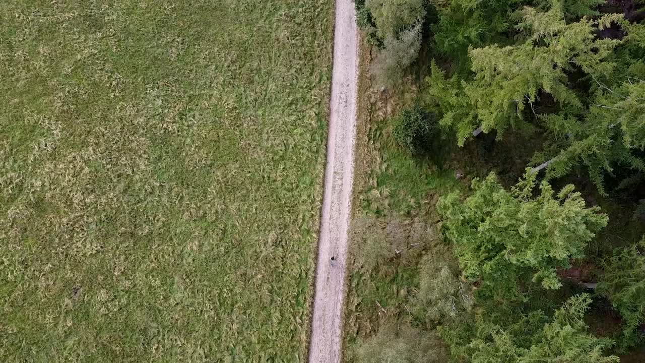 top drone shot de un chico caminando afuera en la naturaleza verde