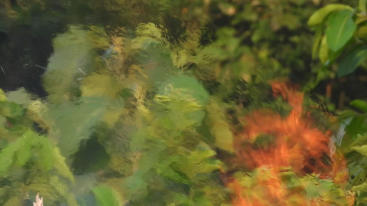 불 연기 - 초록색 - 잎