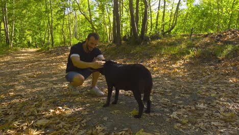 el hombre jugando con el perro.