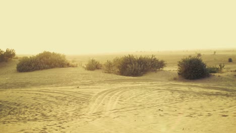serene desert landscape at sunset