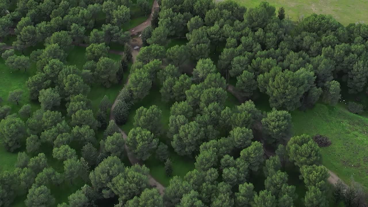 Aerial view of the dry moat and entrance
