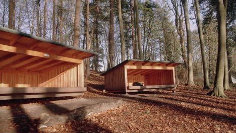 Dolly-in-on-wooden-shelters-on-a-sunny-day-surrounded-by-tall-trees-in-a-beautiful-forest