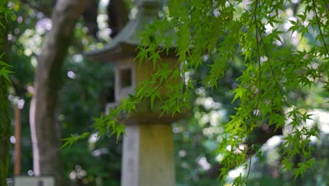 Beautiful-traditional-Japanese-stone-pillar-bokeh-shot-with-green-maple-leaf-trees