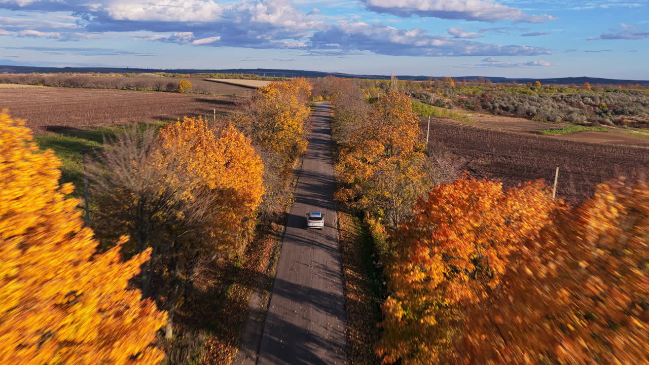 Aerial drone view of a car driving along a straight country road framed by vibrant orange autumn trees in Moldova