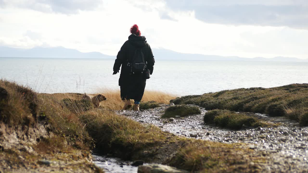 Female walking dog on welsh coastal moorland park with views of Snowdonia mountain range