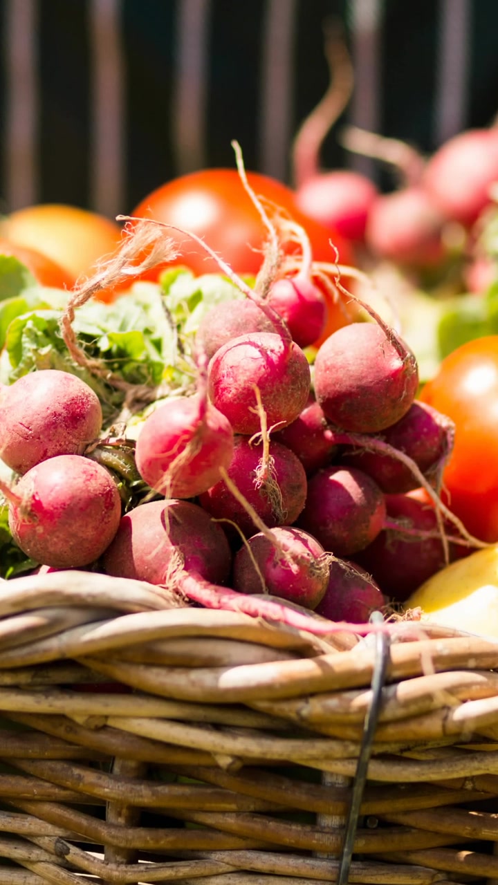 Animation of person holding basket of freshly picked organic vegetables outdoors