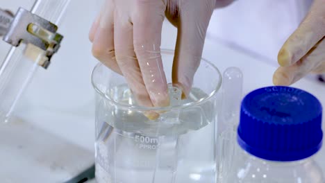 el zinc reacciona con el ácido clorhídrico en un vaso