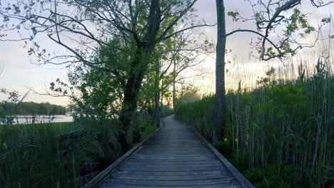 Paseo-En-Primera-Persona-Por-Un-Sendero-De-Madera,-Parque-Natural,-Pantanos,-Palmira,-Nueva-Jersey,-Al-Atardecer