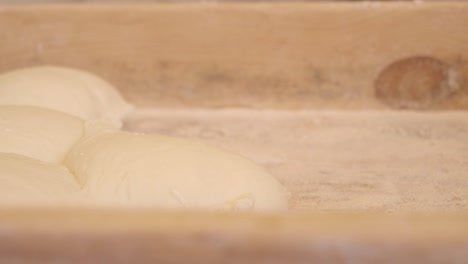 preparing dough for baking