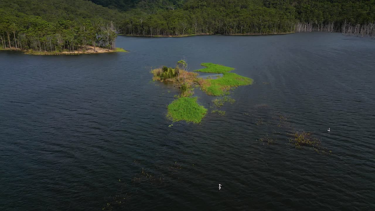 Circular aerial views of a small island on Advancetown Lake near the Western Boat Ramp on the Gold Coast Hinterland.