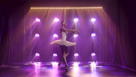 Graceful ballerina dancing white swan part dancin 4k 2025 08 05 02 07 58 utc.mov | action, art, background, ballerina