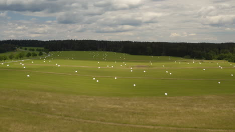 Large-green-farm-field-with-white-hay-bales-scattered-all-over