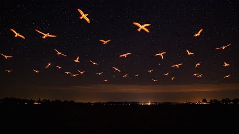 A Mesmerizing Display of Glowing Birds in Flight Beneath a Starry Night Sky, Capturing the Essence of Nature&#039;s Beauty and Serenity in Motion