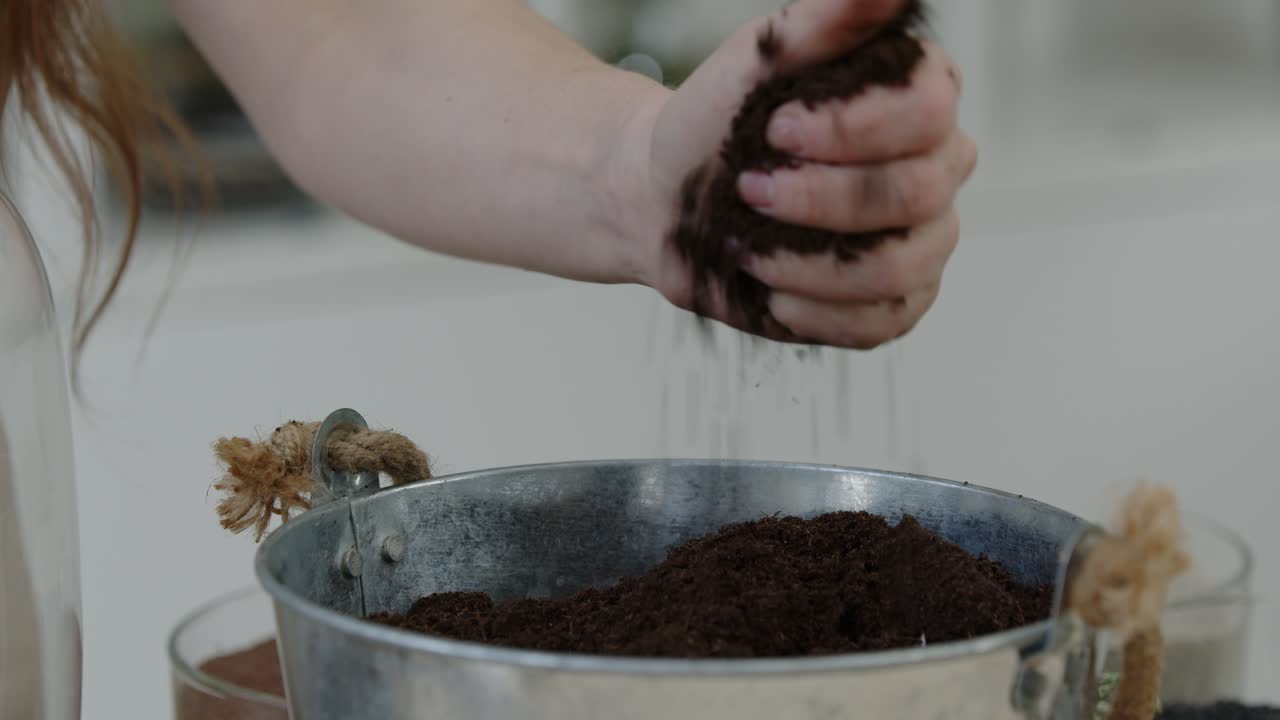 una joven botánica crea un pequeño ecosistema de bosque vivo en un terrario de vidrio - el suelo se rompe - un primer plano ajustado