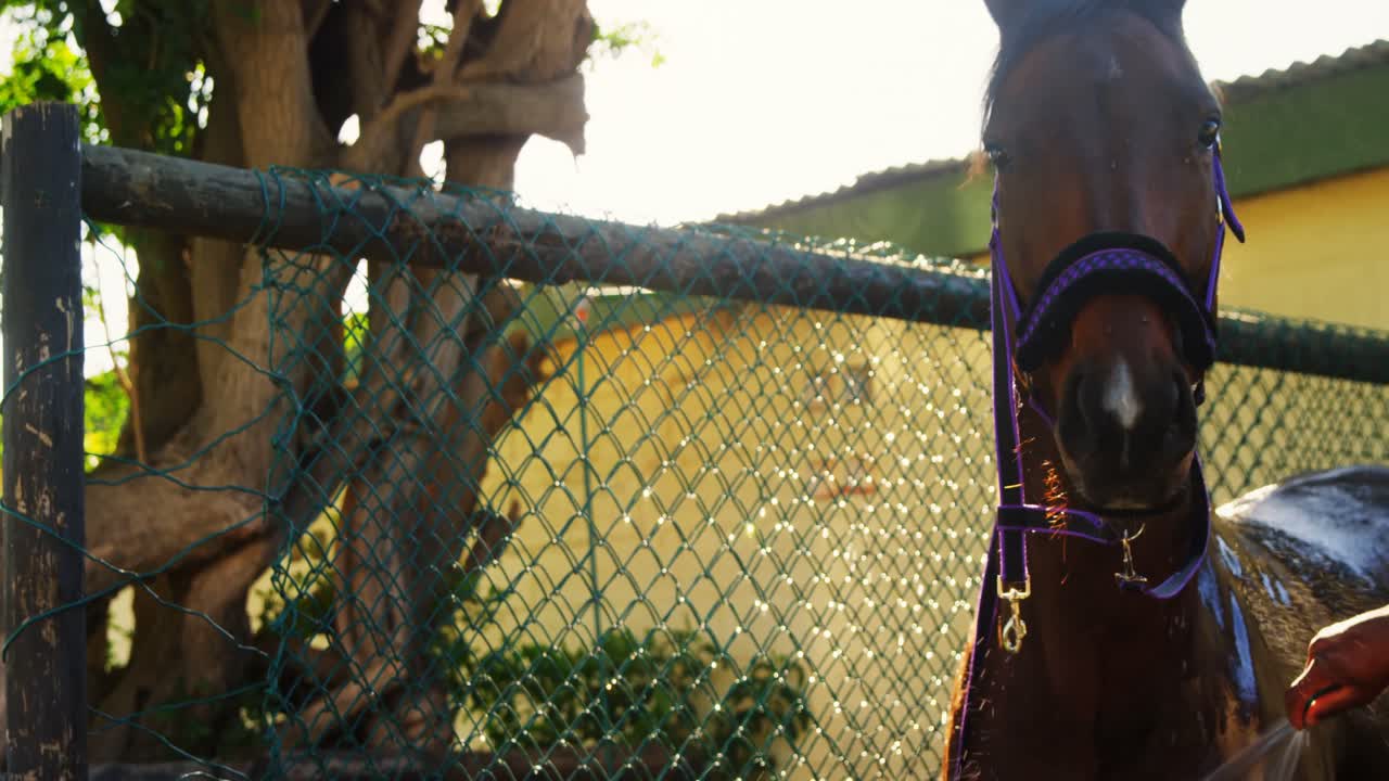 물로  ⁇ 는 말 4k