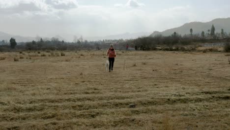 young woman and dog running through remote field in cold china mountains, aerial