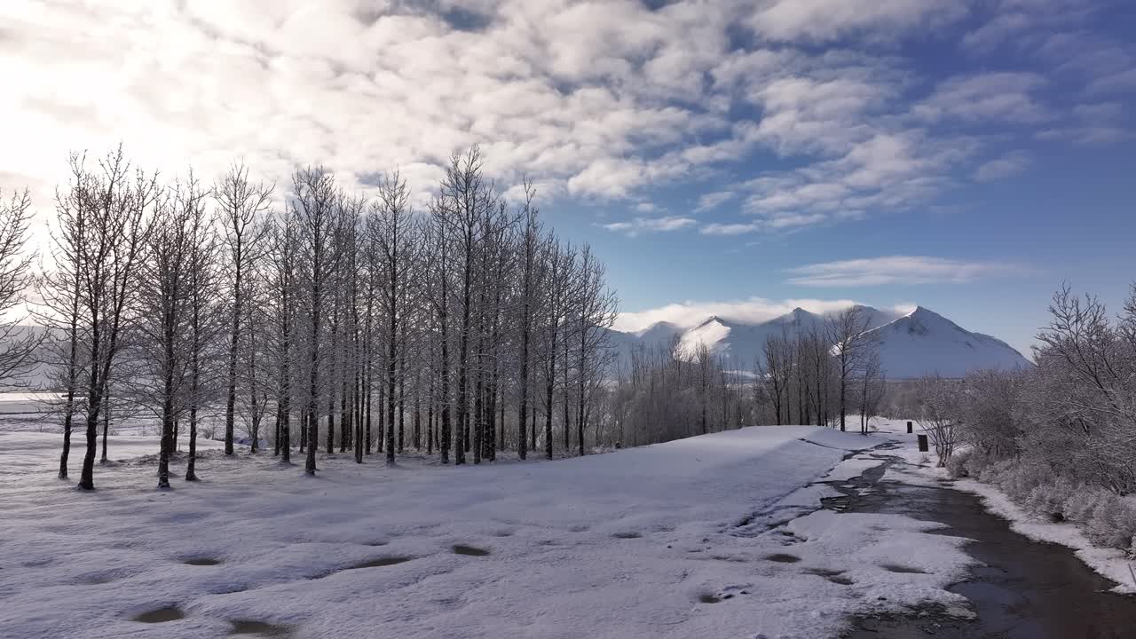Peaceful drone view of snow-covered trees, icy forest path and distant snowy mountains under bright blue sky in Borgarfjörður and Hafnarfjall region, Iceland.