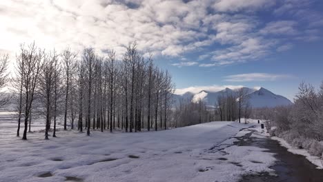 peaceful drone view of snow-covered trees, icy forest path and distant snowy mountains under bright blue sky in borgarfjörður and hafnarfjall region, iceland.