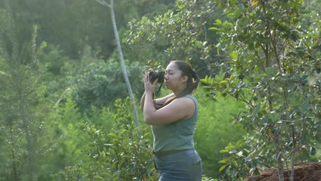 travel photographer woman, with a dslr camera in her hands, taking photographs outdoors in the forest during sunset