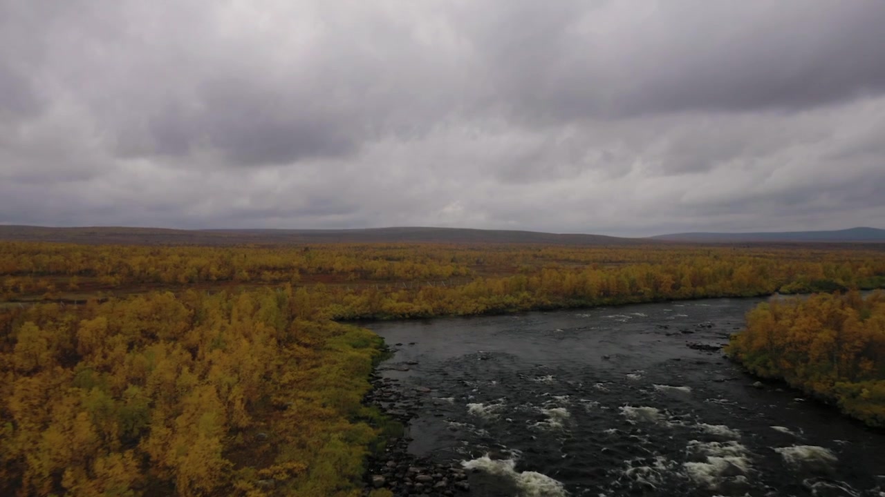 Fluxo de Rio Selvagem de Perto e Cores de Outono na Lapônia Finlandesa