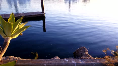 Beautiful-sunrise-over-a-dock-as-sunbeams-glance-the-plants