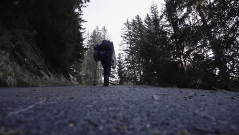 Drained-out-hiker-looking-to-hitchhike-at-Switzerland-woods