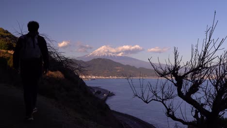 silueta de excursionista masculino de pie y mirando hacia lo alto hacia el monte fuji