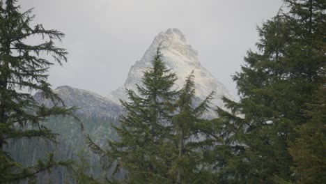 High-mountain-peak-behind-tall-tree-tops