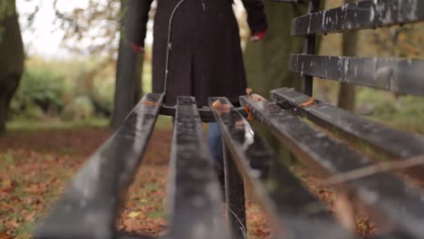 relaxing walk in autumn leaves with park bench