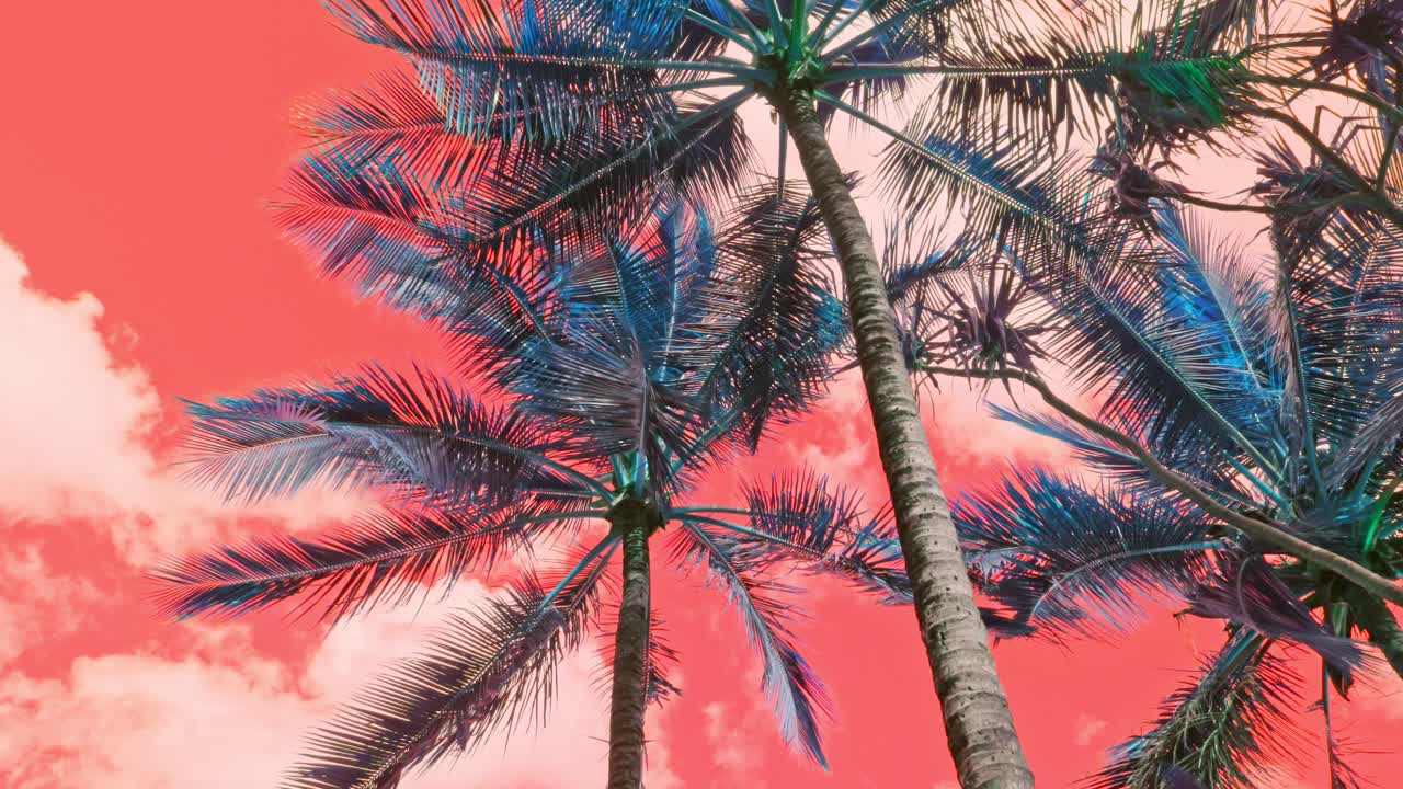 palmeras en viaje de ácido lsd, fondo de cielo rojo
