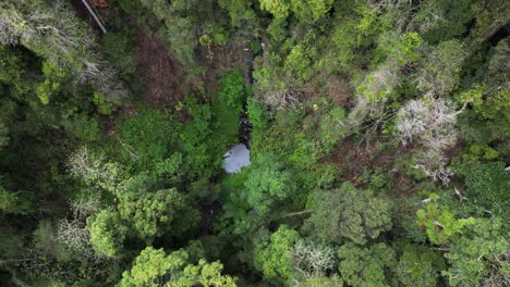 Descubriendo-Un-Pozo-Secreto-Para-Nadar-Formado-Naturalmente-Escondido-En-Lo-Profundo-De-Una-Exuberante-Selva-Tropical