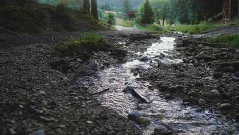toma panorámica lenta de ángulo bajo a la derecha de un arroyo de agua de montaña en el bosque con grava en las orillas