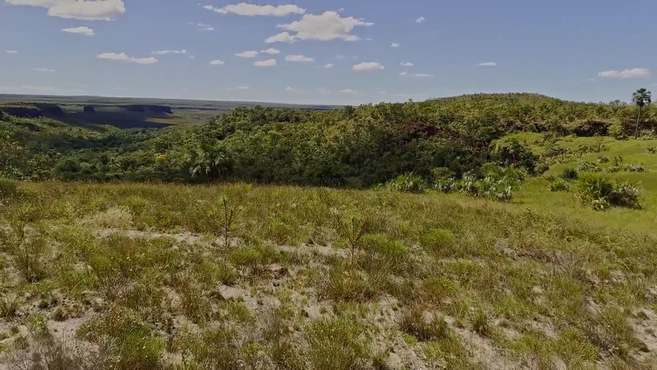 Vistas tomadas a mano a través de llanuras secas y escasamente vegetadas en las sabanas brasileñas, mostrando el crecimiento de arbustos nativos del Cerrado, suelo expuesto y el frágil entorno de este bioma tropical.