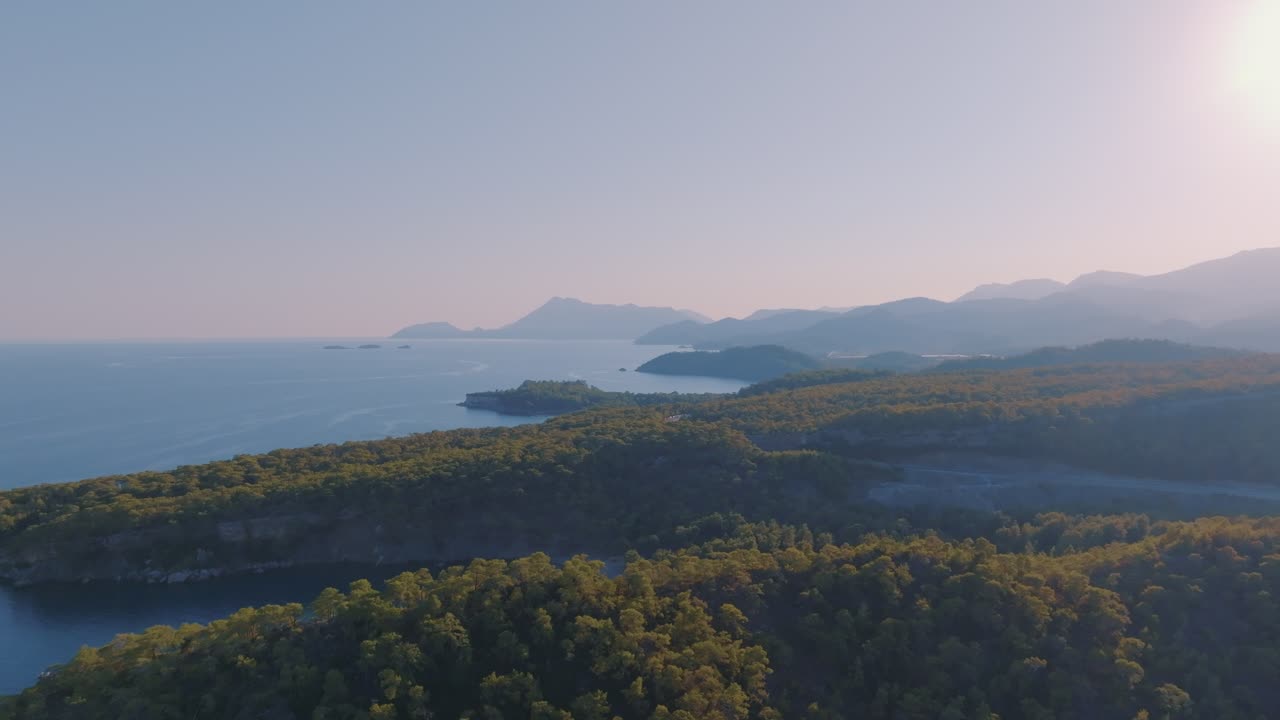 Luftfoto af et kystlandskab med frodig skov og bjerge