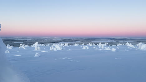 Paisaje-Invernal-Con-árboles-Cubiertos-De-Nieve-Y-Polar