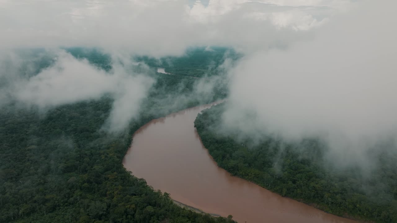 el río atraviesa la selva tropical