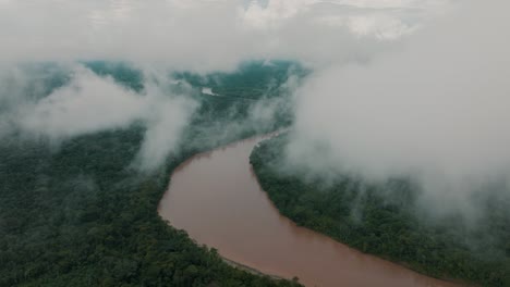 river cuts through tropical rainforest