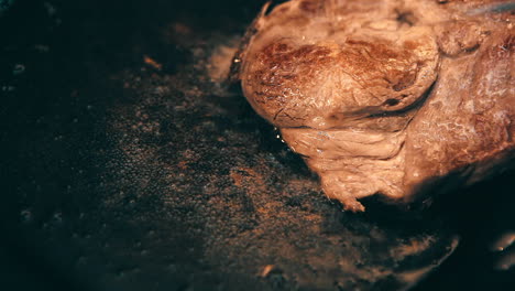 frying meat on oil in the pan