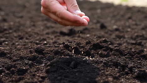 a hand scattering seeds onto fertile soil for planting