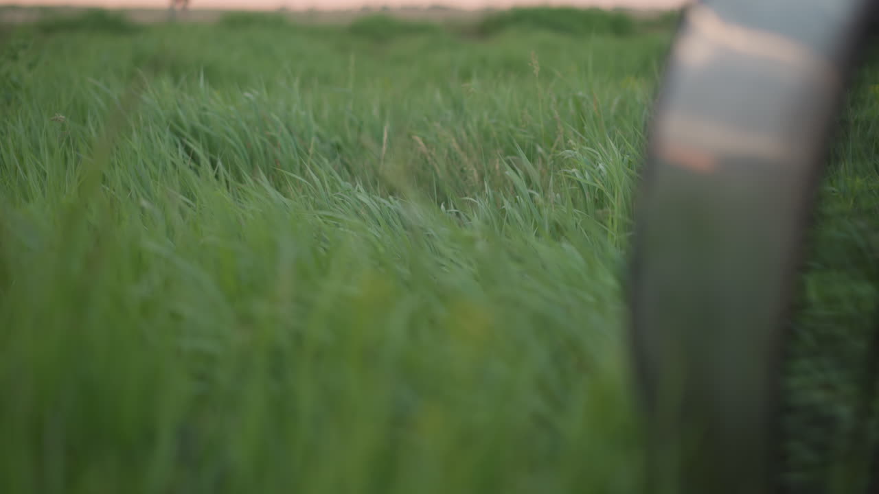 closeup slow motion rotating metal fan rim whipping wind through tall green grass swaying softly under pastel sky during hot air balloon inflation prep in open countryside field backdrop