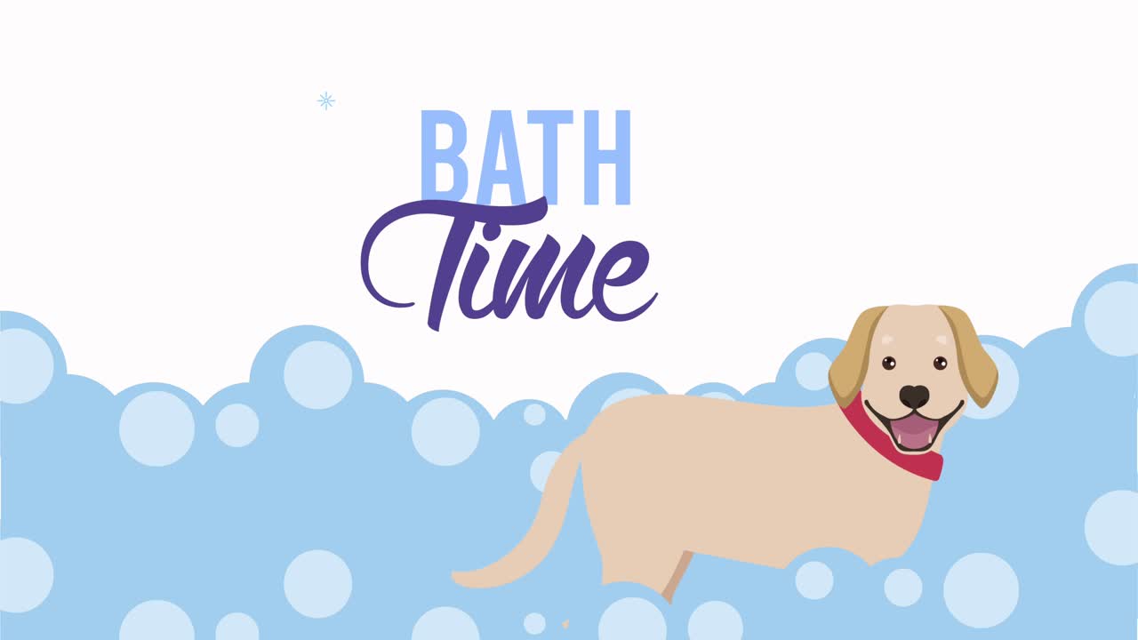 animación de perro con baño de espuma