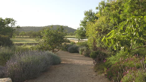 walk-through beautiful garden landscape on gravel walkway, gimbal pov