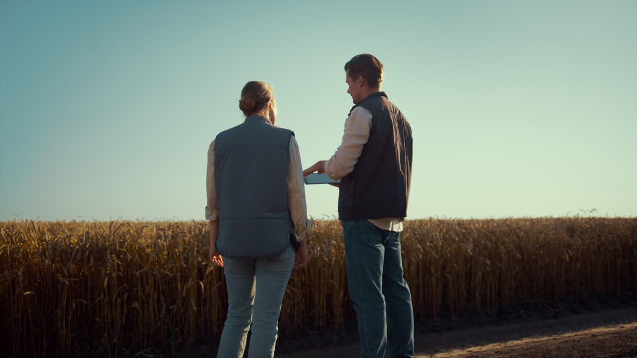 농학자 팀 이 현장 작업 을 논의 하고 있다. 태블릿 을 사용하는 농업 기술 관리자 들