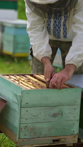 farmer works on apiary. male beekeeper inspecting bees in a beehive in summer. production of healthy honey in apiary. beekeeping concept. vertical video