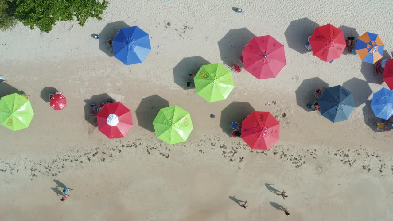 Rising aerial drone bird's eye view of the popular tropical Coquerinhos beach with colorful umbrellas, palm trees, golden sand, turquoise water, and tourist's swimming in Conde, Paraiba, Brazil