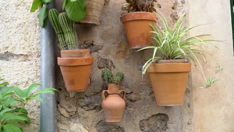 potted flowers hanging on the wall of an