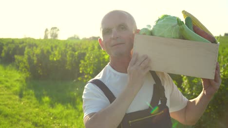 happy senior farmer walking with a box of organic vegetables and looking at camera